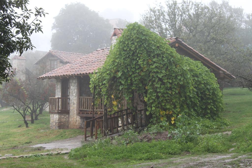 La Tierra Grande Villa Zacatlán Kamer foto