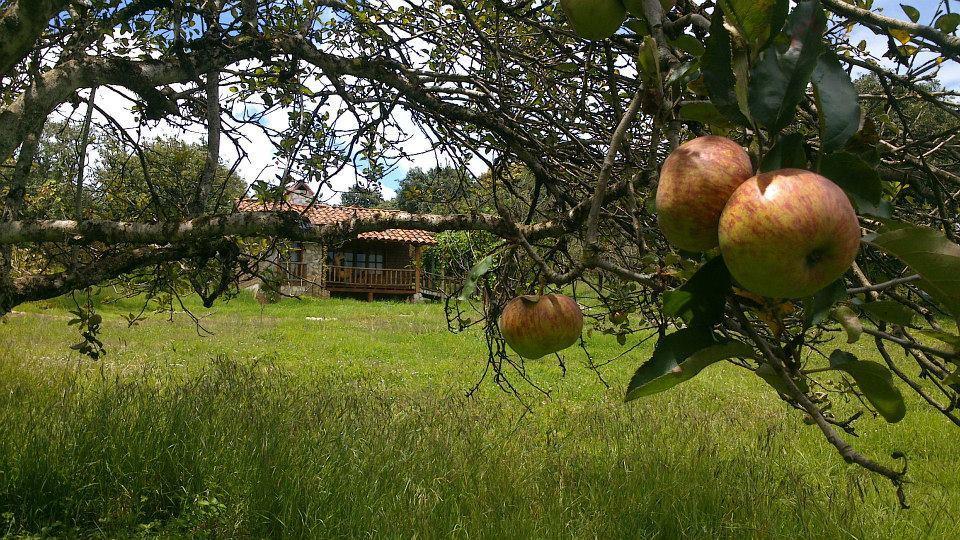 La Tierra Grande Villa Zacatlán Buitenkant foto